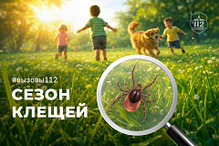 Сезон клещей  (они проснулись!)
