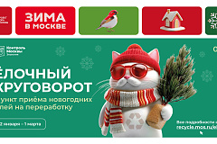 Куда сдать новогоднюю елку
